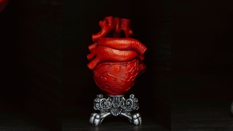 Between the Intellect and the Heart